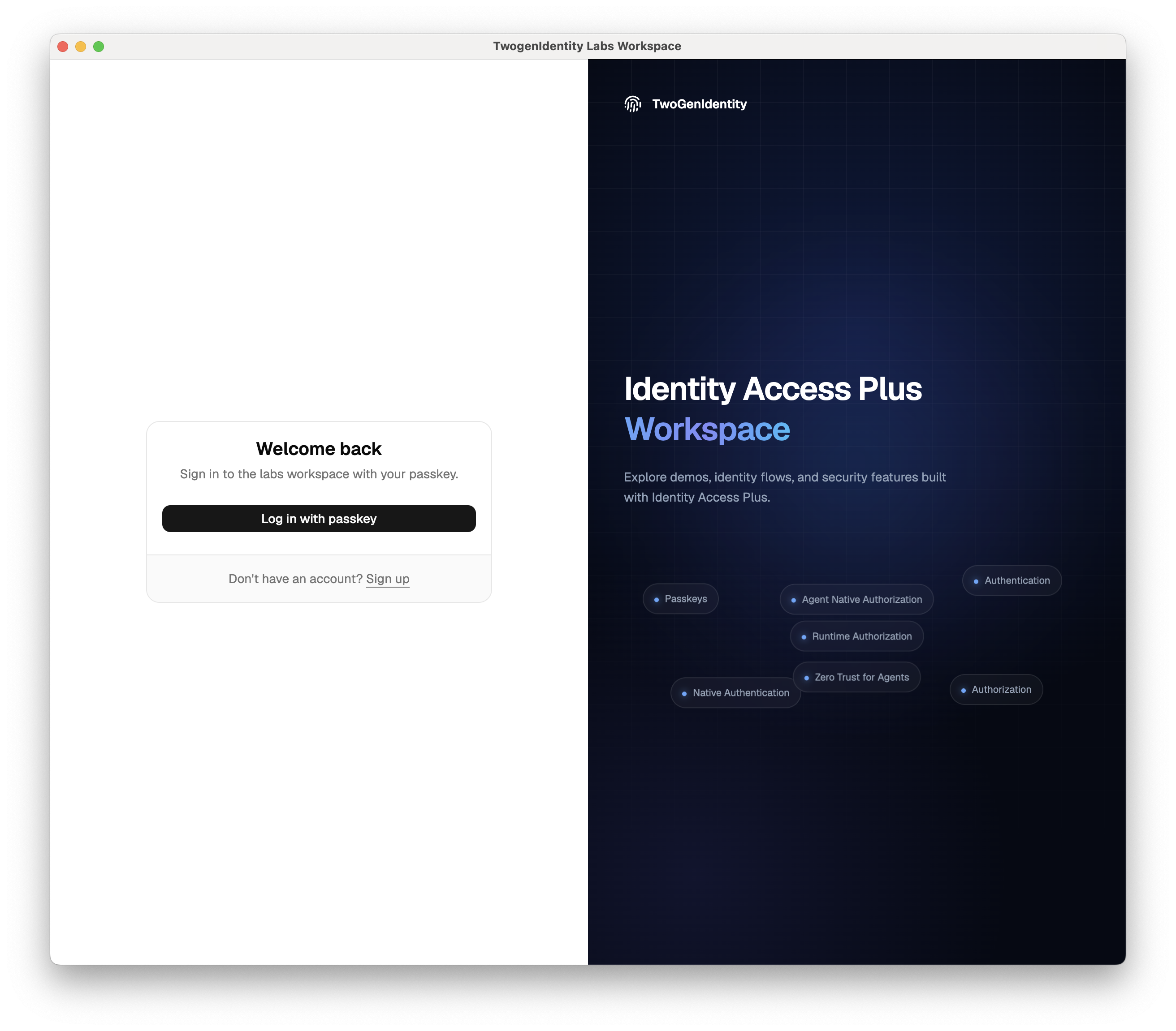 Identity Access Plus Labs Workspace login screen with Log in with passkey